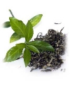 Зеленый чай: вчера, сегодня и навсегда 