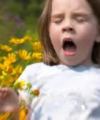сезонные аллергии детей