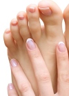 Средство от грибка ногтей на ногах – что можно сделать с инфекцией 