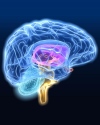 Атеросклероз сосудов головного мозга – проблема пожилого возраста 