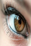 офтальмоксероз синдром сухих глаз