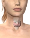 лечение рака щитовидной железы виды терапии
