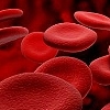 Повышение гемоглобина - когда кровопускание необходимо