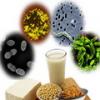 Пробиотическая еда - топливо для жизни