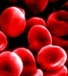 Группы крови - для чего вам знать свою? 