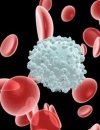 лимфоциты в крови повышены